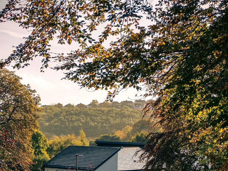 Modern UK home finished with dark exterior cladding